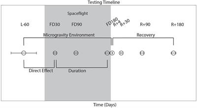 The Effects of Long Duration Spaceflight on Sensorimotor Control and Cognition